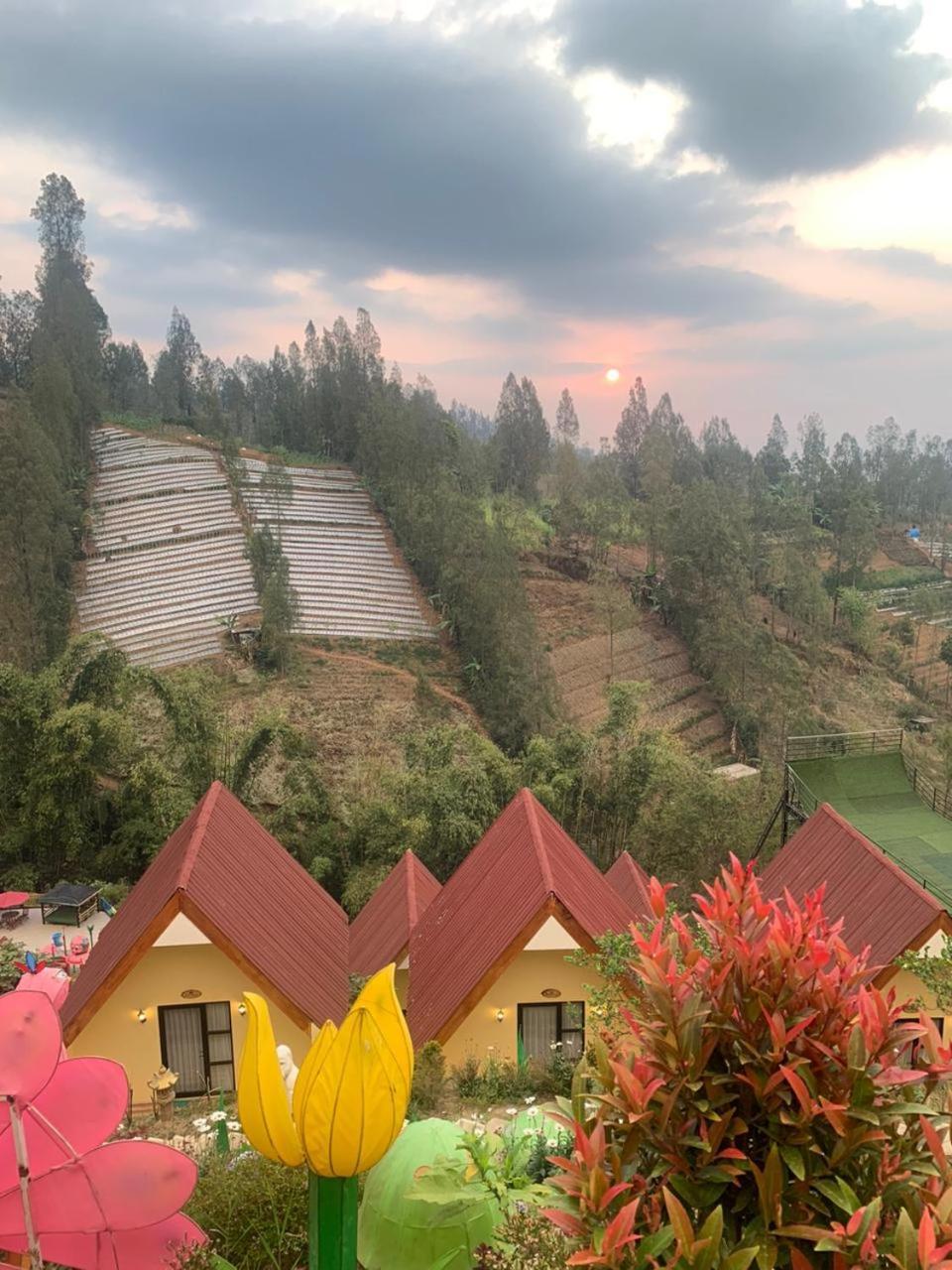 Hotel Nature Bromo And Resort Pasuruan Eksteriør bilde