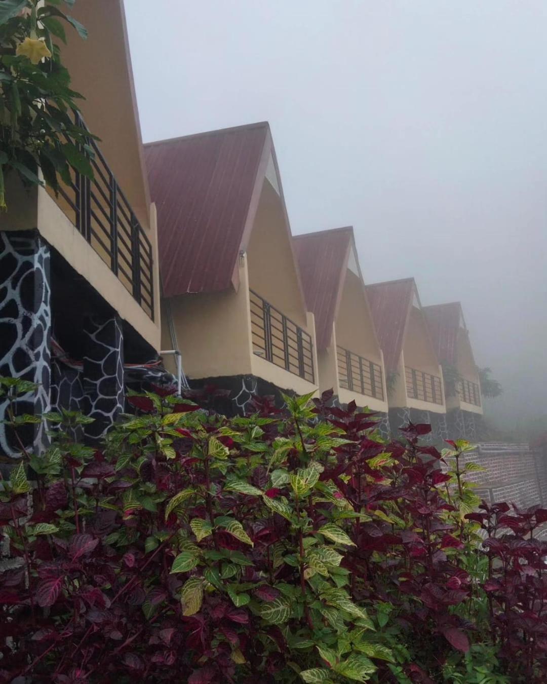 Hotel Nature Bromo And Resort Pasuruan Eksteriør bilde